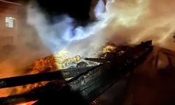 Sinop'ta samanlık yangını