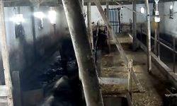 Tokat'ta ahırın çatısı çöktü