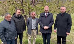 CHP’li Kurtgöz: “Tokat’ta Tarım ve Hayvancılık Can Çekişiyor”