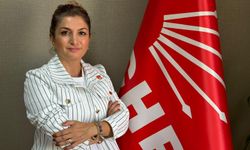 CHP'li Hekimoğlu Yavuz: "Kadın Üniversitesi ve Hastanesi Ayrımcılıktır"