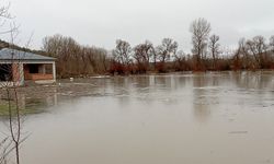 Çekerek Irmağı Taştı, Tarım Arazileri Sular Altında Kaldı