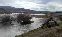 Beypazarı'nda ekili araziler sular altında kaldı