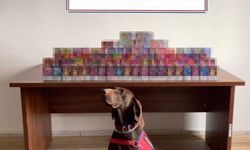 Bolu'da 150 adet elektronik sigara ele geçirildi