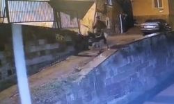 Forklifle gelmiş, eşekle kaçmış