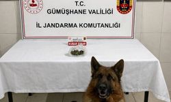 Gümüşhane'de uyuşturucu operasyonu