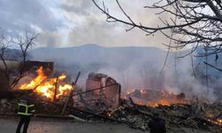 Karabük'te köyde çıkan yangın 4 evi ve bir ahırı küle çevirdi