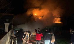 Ordu'da ambarda çıkan yangın marangoz atölyesi ve ahırı küle çevirdi