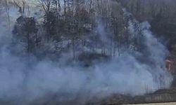 Trabzon'da örtü yangınları