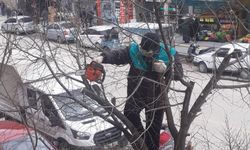 Tokat’ın cadde ve sokaklarında ağaçlar budanıyor