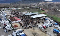 Turhal Hayvan Pazarı Artık 600 m² Kapalı Alana Sahip