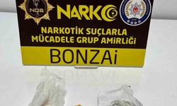 Akşehir'de uyuşturucu operasyonu: 1 tutuklama