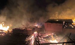 Bolu'da çıkan yangında çok sayıda yapı küle döndü