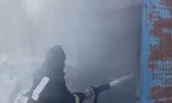 Çardak yangınında 65 buzağı telef oldu