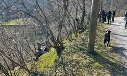 Kastamonu'da 'patpat' şarampole yuvarlandı: 2 yaralı