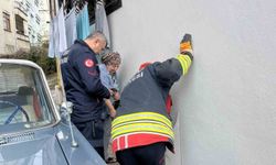 Ordu'da bodrum kattaki kedi sesi ekipleri harekete geçirdi