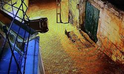 Yokuşu çıkamayan elektrikli bisiklet devrildi