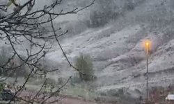 Zile’de Bahar Karı! Meyve Ağaçları Beyaz Örtüyle Kaplandı