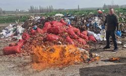 Alaca'da kaçak sigara ve alkol yakılarak imha edildi