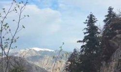 Artvin'de yaylada düşerek yaralanan vatandaş helikopterle kurtarıldı