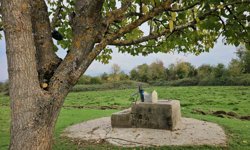 Cesedi su kuyusunda bulunan 17 yaşındaki Hasret'in katil zanlısına müebbet hapis cezası talebi