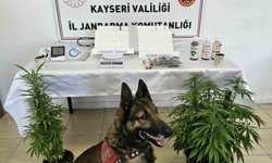 Kayseri'de uyuşturucu operasyonu