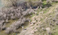 Kesikköprü'de sır gibi kayıp: 5 gündür iz yok