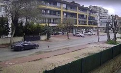 Otomobilin çarpmasıyla ölen kedinin yavrusu başından ayrılmadı