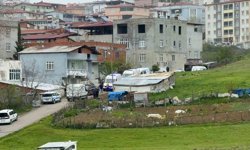 Samsun'daki evlat dehşeti: Anne ve oğlu evde ölü bulundu