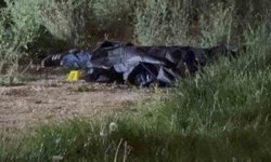 'Yan bakma' kavgasında 1 kişi öldü, 1 şahıs yaralandı