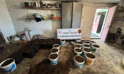 Yozgat'ta uyuşturucu yetiştirme düzeneği ve uyuşturucu madde ele geçirildi