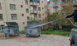 Reşadiye’de Bahar Temizliği! Haşereyle Mücadele Seferberliği Başladı