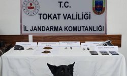 Tokat Reşadiye'de Jandarma U***turucu Operasyonu Baskını