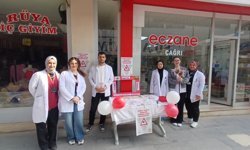 Tokat’ta Kene Tehdidine Karşı Genç Hemşirelerden Önemli Adım