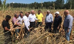 Kadim Durmaz: "Mısır İthalatı Kararı Yerli Üreticiyi Vuruyor"