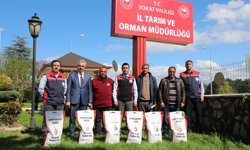 Tokat’ta Atıl Araziler Yeşeriyor! Sorgum Sudan Otu Tohumları Toprakla Buluşuyor