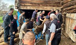 Ahır göçüğünde can pazarı: Kadın ağır yaralı kurtarıldı, hayvanlar enkaz altında kaldı