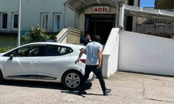 Alaplı'da yaralanan acemi kasaplar hastaneye koştu