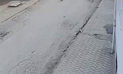 Bir anda koşup havlayan köpek küçük çocuğu korkuttu