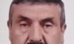 Devrilen ağacın altında kalan yaşlı adam hayatını kaybetti