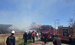 Ordu'da 3 katlı binada yangın