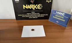 Ordu'da uyuşturucu operasyonu