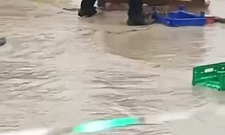 Sağanak yağmur altında görev başında: Polis memurunun mücadelesi kamerada