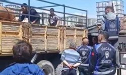 Sincan Belediyesinden kaçak ahırlara denetim