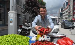 Tokat'ta Kiraz Mevsimi Başladı! Tezgâhların Yeni Gözdesi Turfanda Kirazı