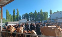 Artova’da Hayvan Pazarı Kapılarını Açtı