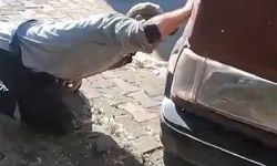 Tokat'ta Otomobil Motoruna Gizlenen Yılan Ekipleri Alarma Geçirdi