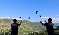 Tokat'ta Doğal Yaşama Kanat Çırptılar! 100 Keklik Doğayla Buluştu