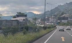 Karadeniz Sahil Yolunda ters yönde giden kamyon korkuttu