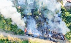 Samsun'da korkutan anız yangını