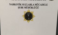 Samsun'da uyuşturucu operasyonunda 1 gözaltı